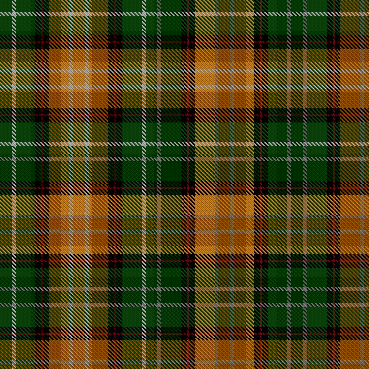 Tartan image: Eire. Click on this image to see a more detailed version.