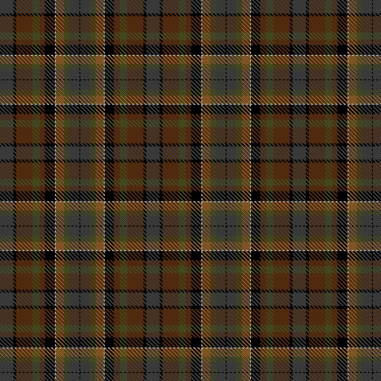 Tartan image: Teddy Bear 111th Anniversary. Click on this image to see a more detailed version.
