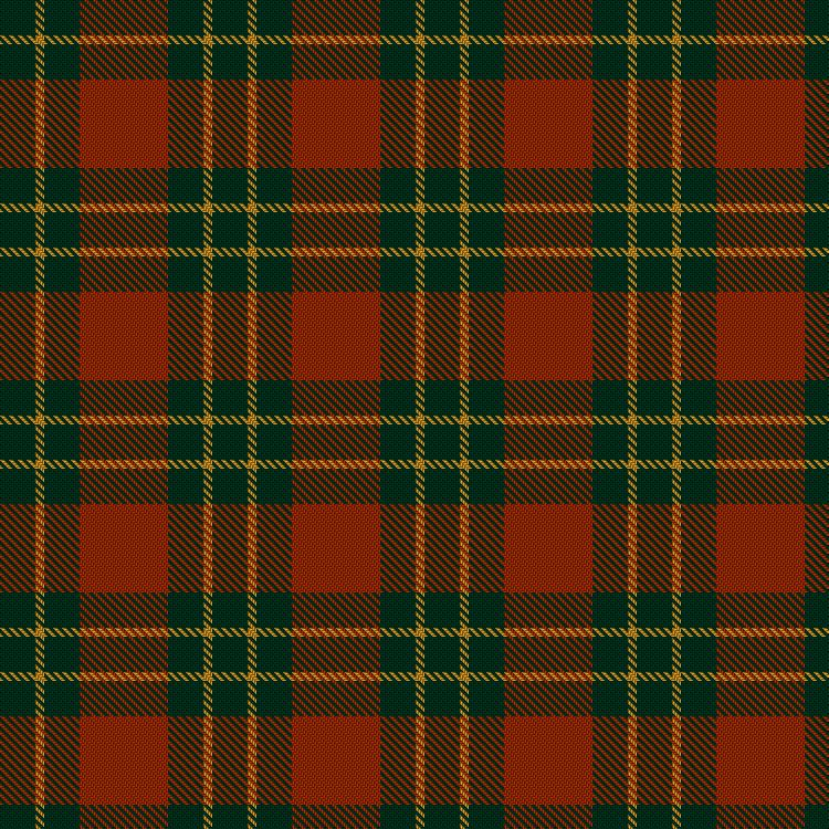 Tartan image: Lugo (2013). Click on this image to see a more detailed version.