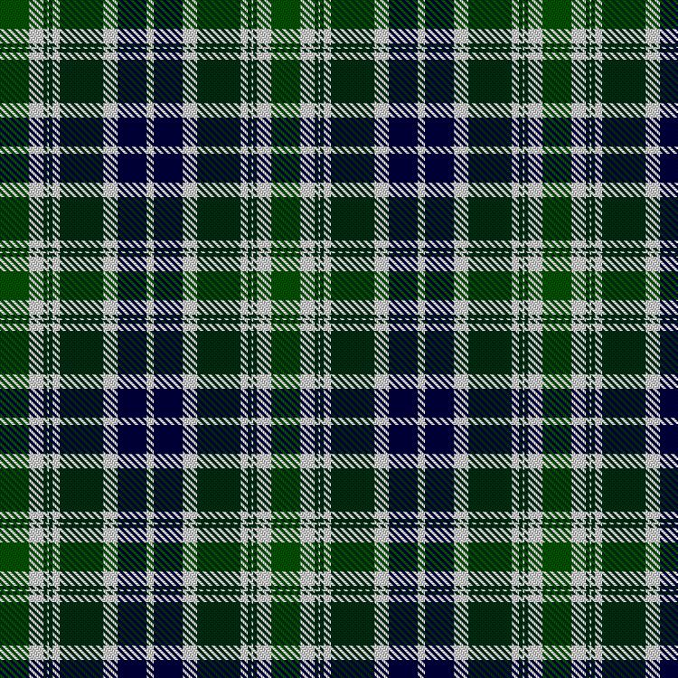 Tartan image: Spirit of Pakistan, The. Click on this image to see a more detailed version.