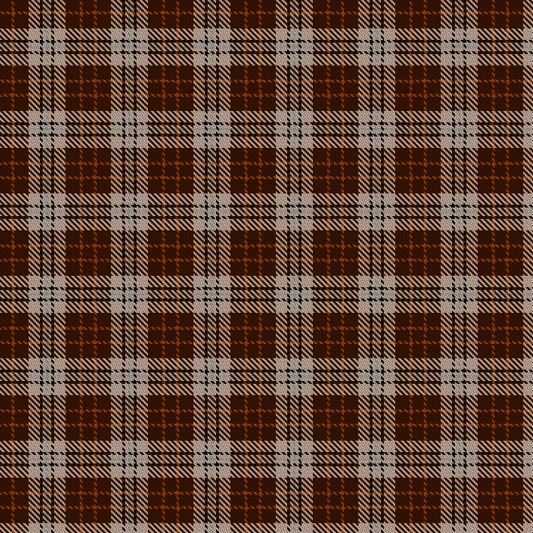 Tartan image: Elgin. Click on this image to see a more detailed version.