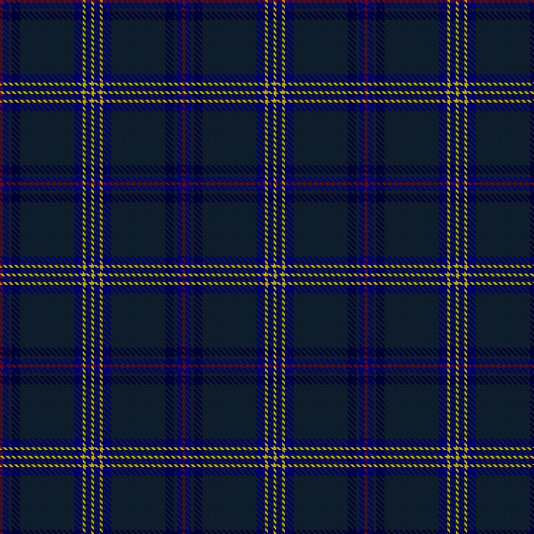 Tartan image: Pagus Wasia. Click on this image to see a more detailed version.
