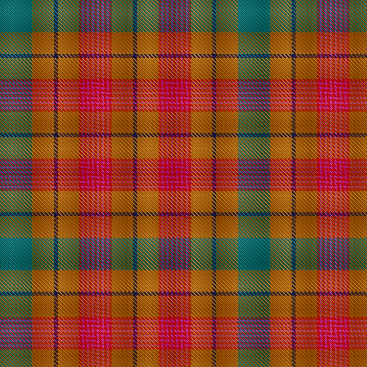Tartan image: Commonwealth Games Scotland, Team Scotland 2014. Click on this image to see a more detailed version.