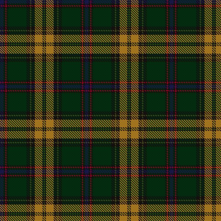 Tartan image: Rourke-Frew Hunting. Click on this image to see a more detailed version.