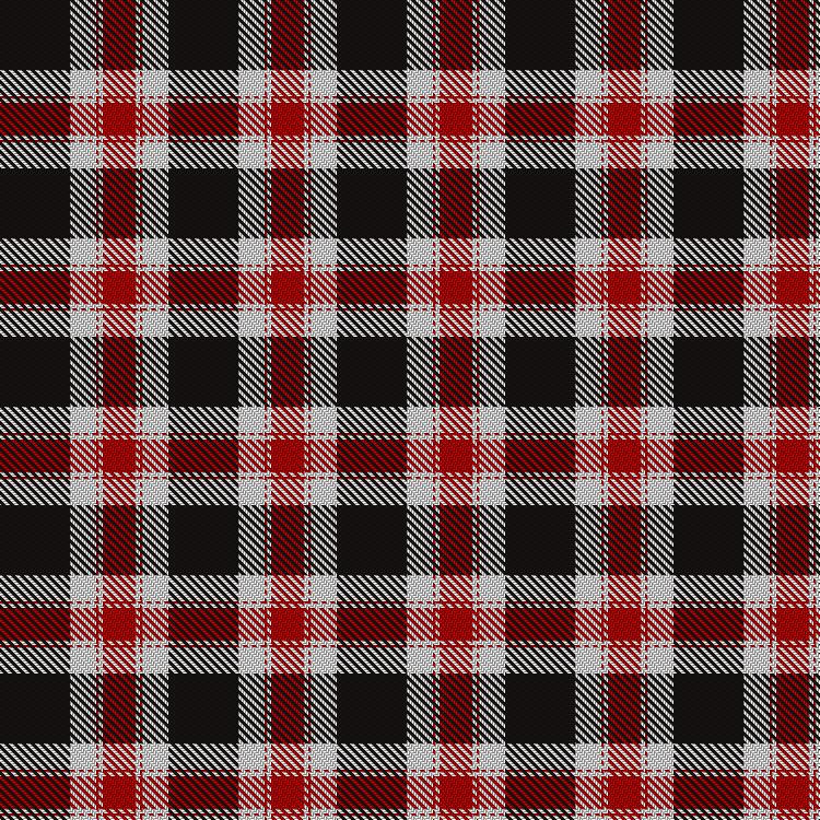 Tartan image: Nunes (2014). Click on this image to see a more detailed version.