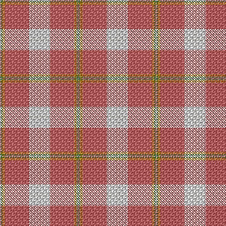 Tartan image: Tomomi. Click on this image to see a more detailed version.