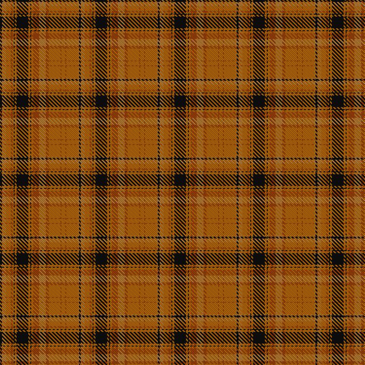 Tartan image: Highland Aircraft. Click on this image to see a more detailed version.