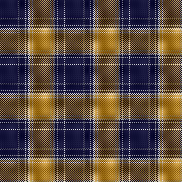 Tartan image: Highland Park High School (Texas). Click on this image to see a more detailed version.