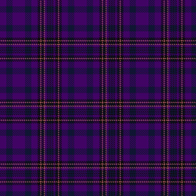 Tartan image: Burns, Virginia (Personal). Click on this image to see a more detailed version.
