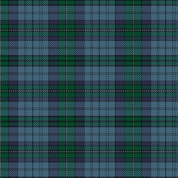 Tartan image: Ellis. Click on this image to see a more detailed version.