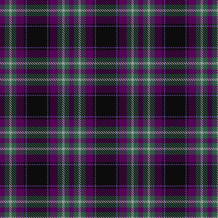 Tartan image: SheBoom. Click on this image to see a more detailed version.