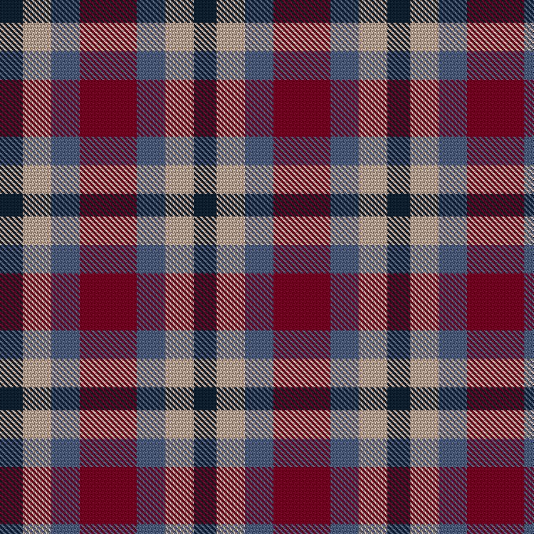 Tartan image: Haggis Hostels. Click on this image to see a more detailed version.