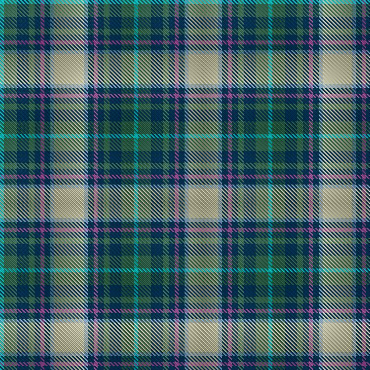 Tartan image: Sound of Iona. Click on this image to see a more detailed version.