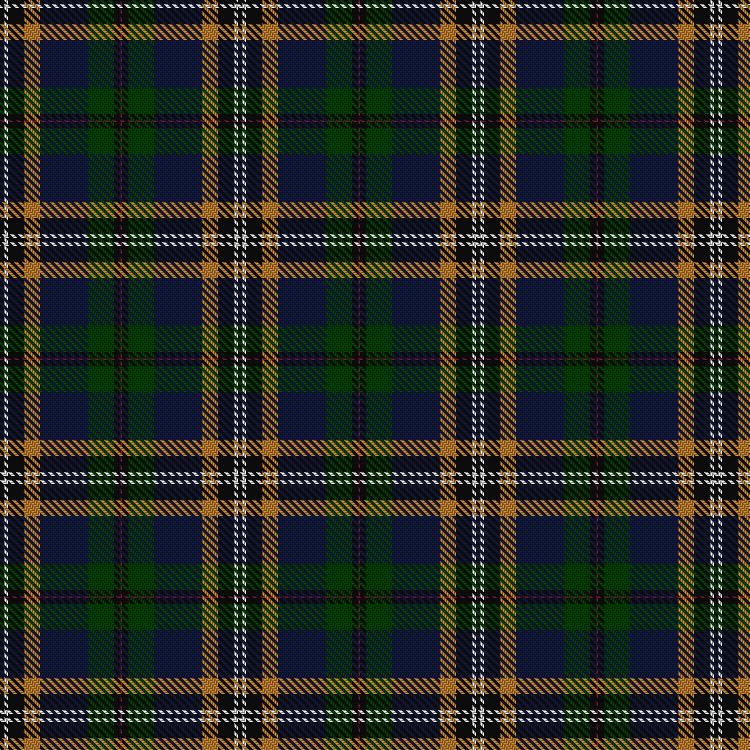 Tartan image: Froben, Christian (Personal). Click on this image to see a more detailed version.
