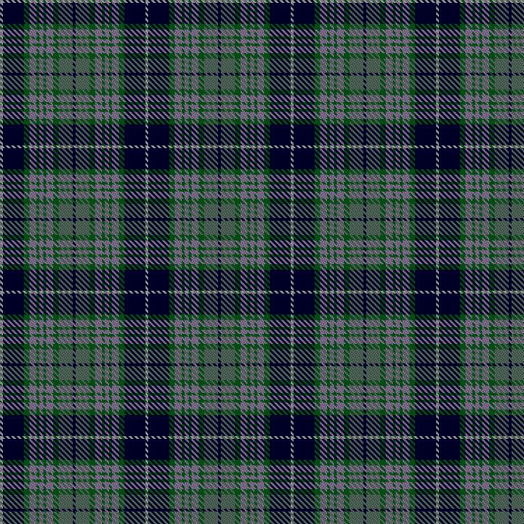 Tartan image: Elwyn Glen (Scottish Borders). Click on this image to see a more detailed version.