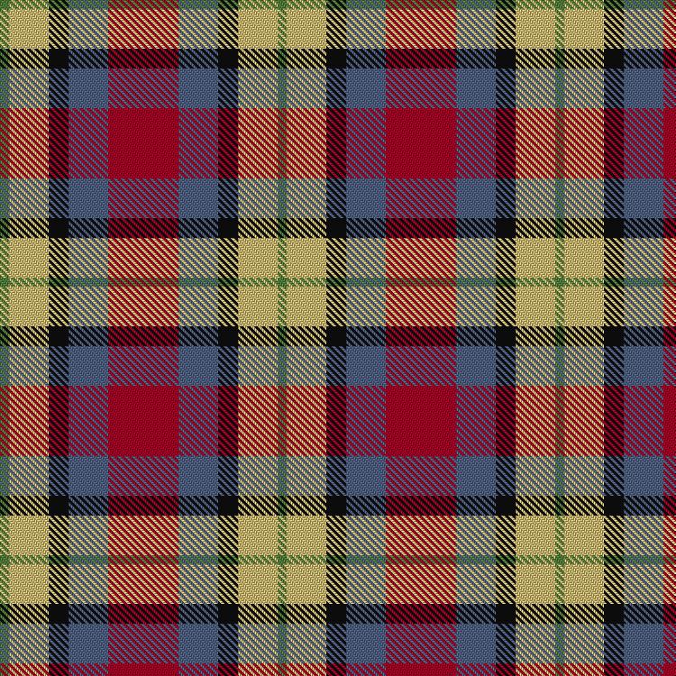 Tartan image: Abbink, Ingmar (Personal). Click on this image to see a more detailed version.