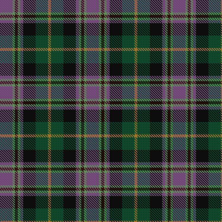 Tartan image: Caledonian Labrador Retrievers. Click on this image to see a more detailed version.
