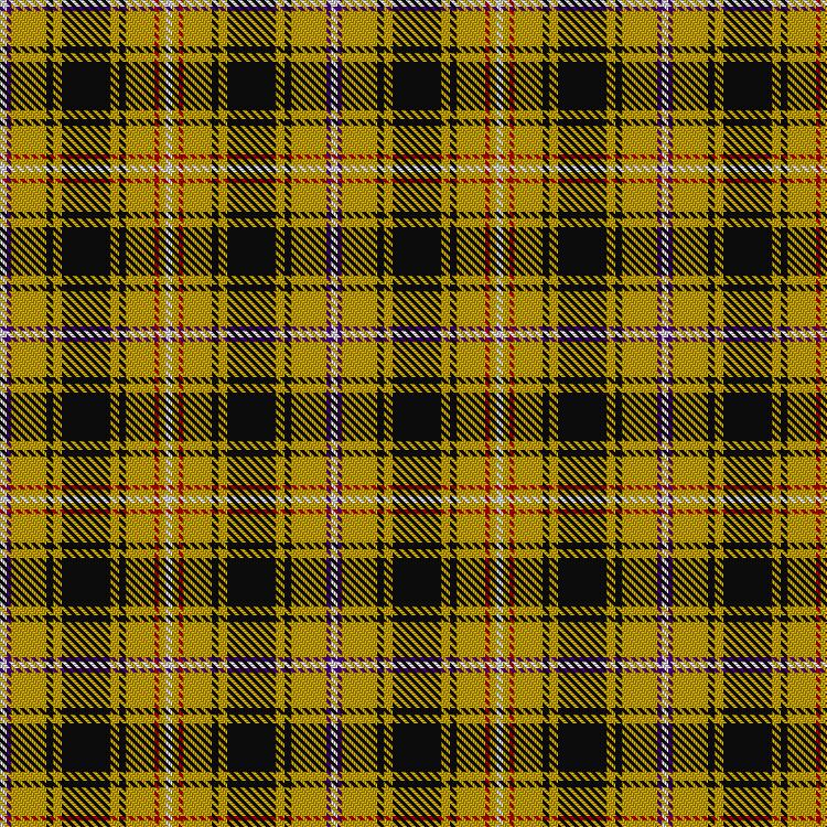 Tartan image: Loch Sween. Click on this image to see a more detailed version.