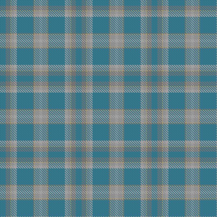 Tartan image: Banatherton Union. Click on this image to see a more detailed version.