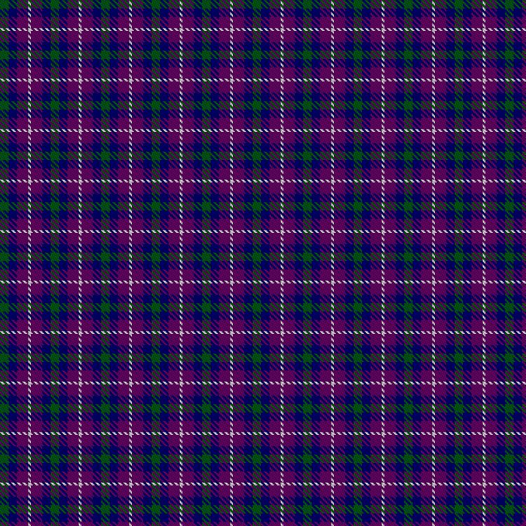 Tartan image: Pride of the Glen. Click on this image to see a more detailed version.