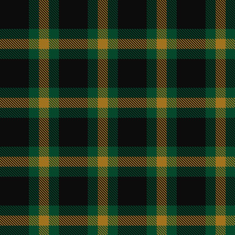 Tartan image: Zwijnenberg, Frans (Personal). Click on this image to see a more detailed version.