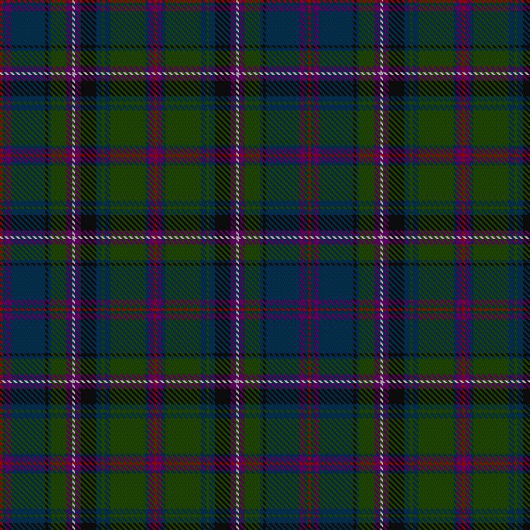 Tartan image: Empire Golf Check. Click on this image to see a more detailed version.