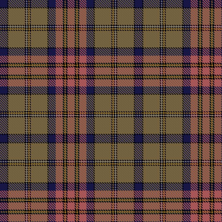 Tartan image: Oneness. Click on this image to see a more detailed version.