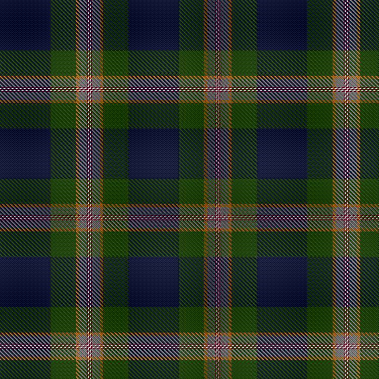 Tartan image: Wells (2014). Click on this image to see a more detailed version.