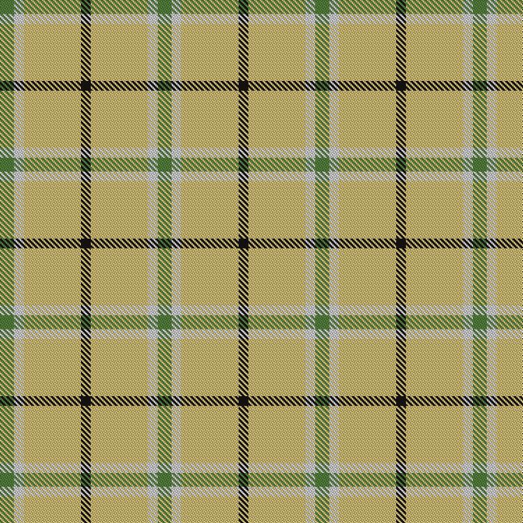 Tartan image: Hogan (2014). Click on this image to see a more detailed version.