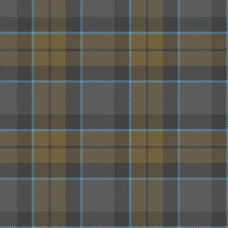 Tartan image: Outlander #2. Click on this image to see a more detailed version.