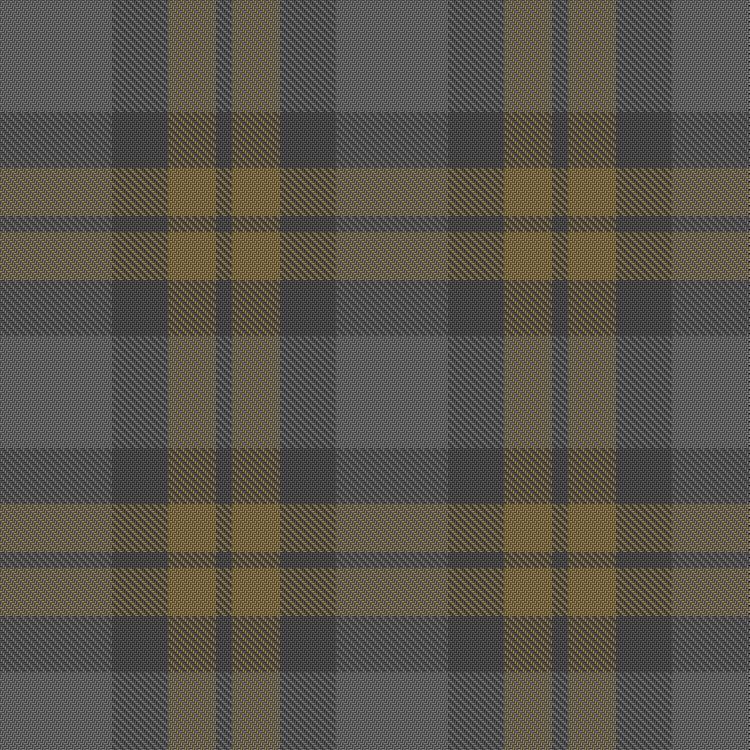 Tartan image: Outlander #3. Click on this image to see a more detailed version.