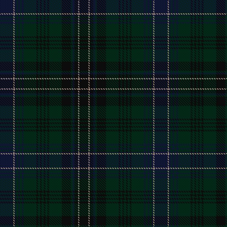 Tartan image: Wilson-Blyth. Click on this image to see a more detailed version.