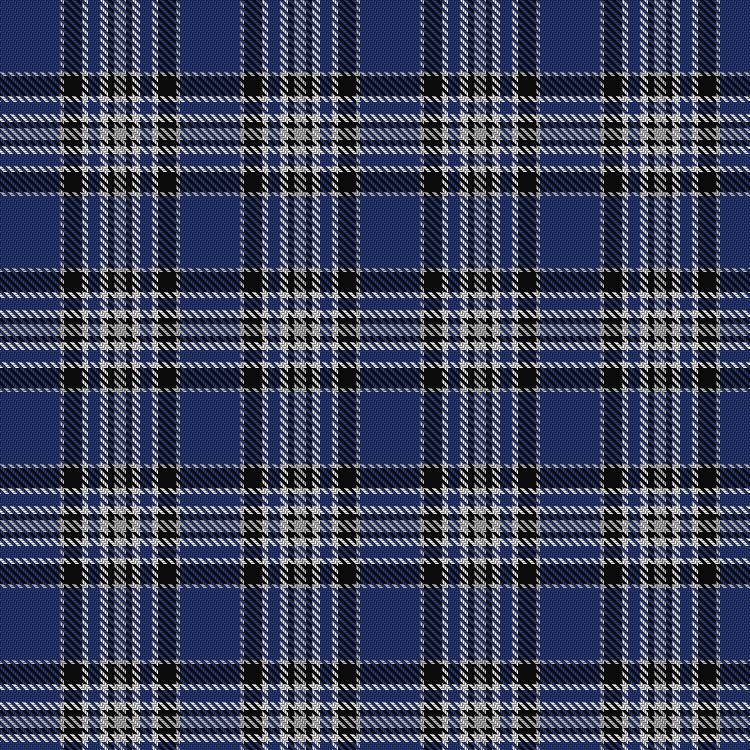 Tartan image: Detroit Lions. Click on this image to see a more detailed version.