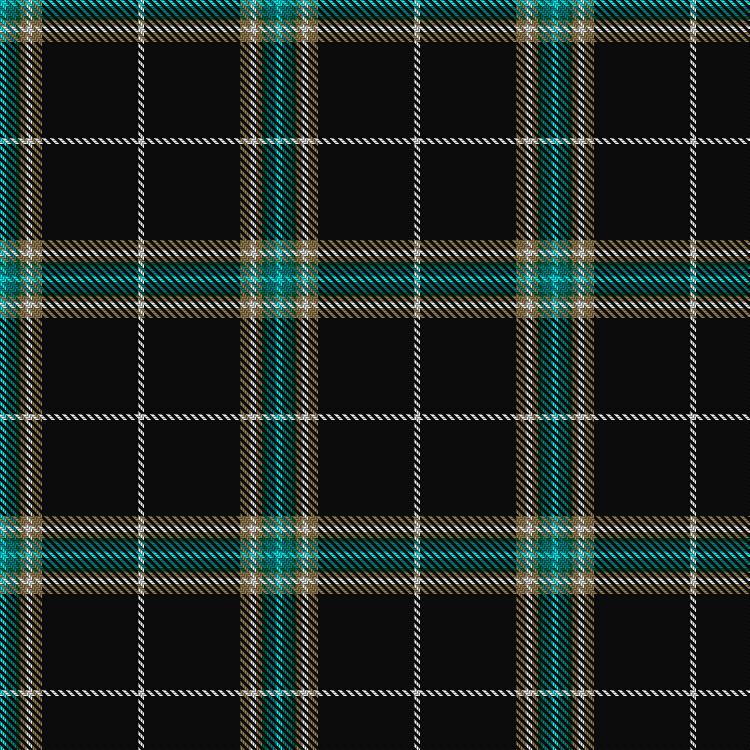 Tartan image: Pavelka Limited. Click on this image to see a more detailed version.