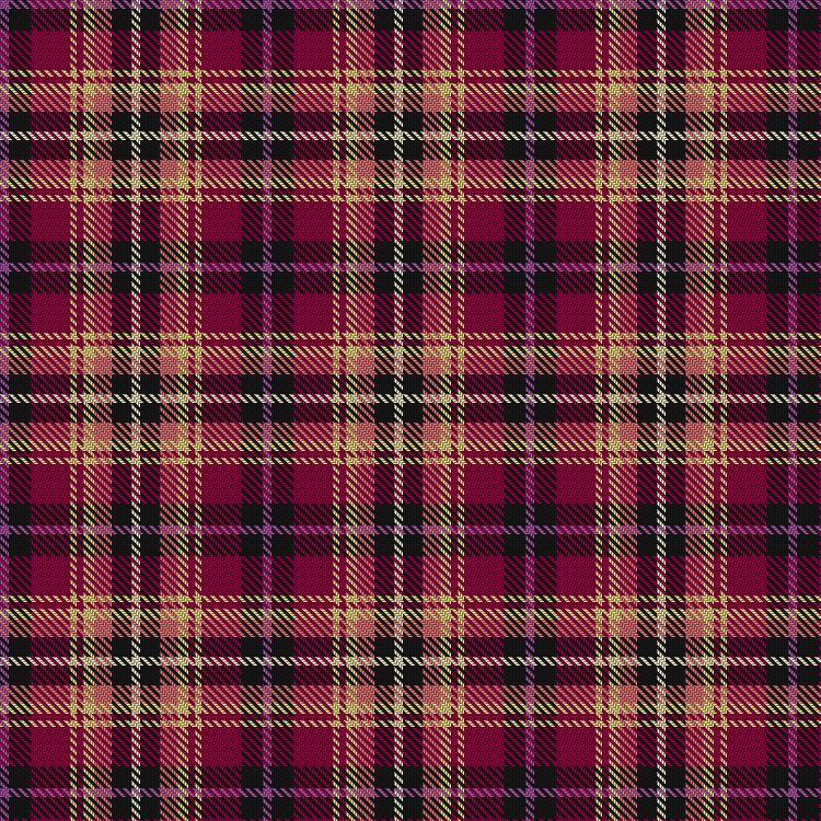 Tartan image: Khosla, Sarah and Jatin (Personal). Click on this image to see a more detailed version.