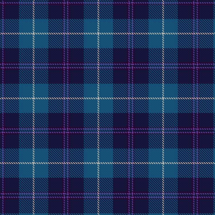 Tartan image: Aberdeen Academy of Performing Arts. Click on this image to see a more detailed version.