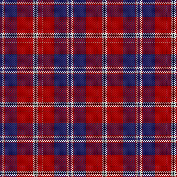 Tartan image: Boring and Dull. Click on this image to see a more detailed version.