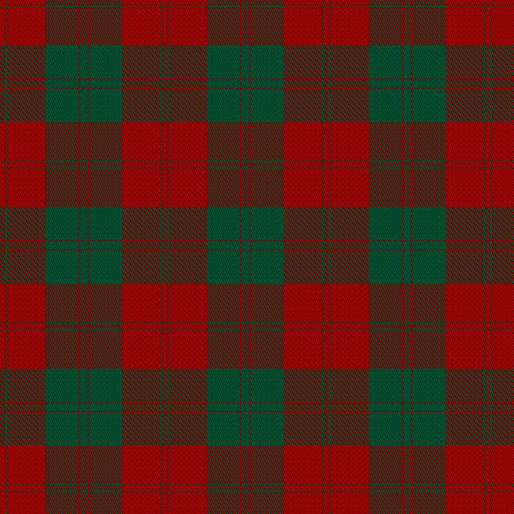 Tartan image: Erskine. Click on this image to see a more detailed version.