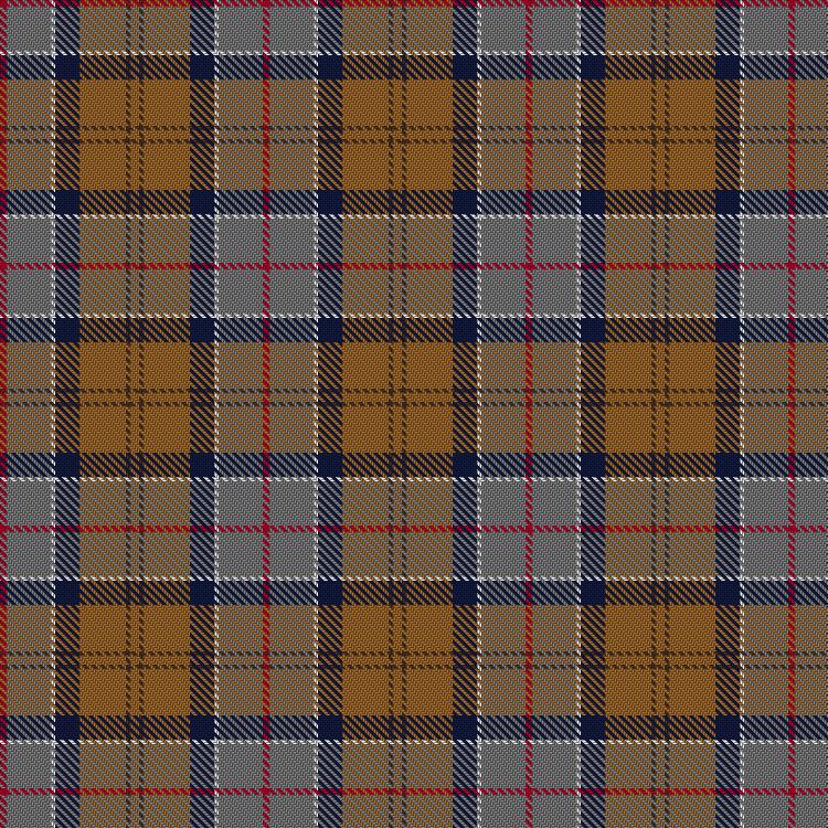 Tartan image: Barbour Dress. Click on this image to see a more detailed version.