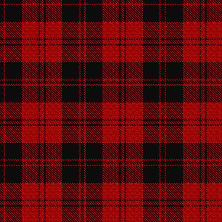 Tartan image: Erskine (MacGregor-Hastie). Click on this image to see a more detailed version.