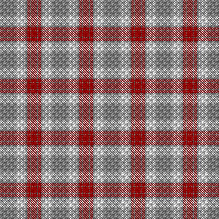Tartan image: Walsh, Michael Edward (Personal). Click on this image to see a more detailed version.