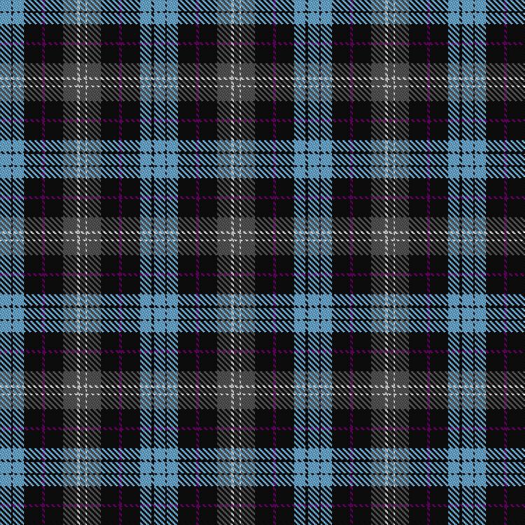 Tartan image: Scotsburn Croft. Click on this image to see a more detailed version.