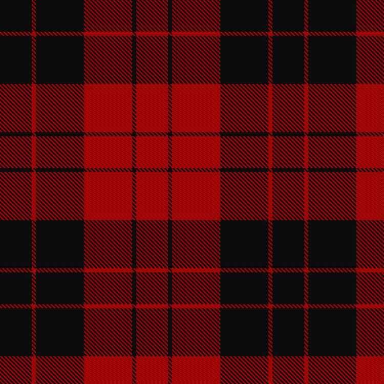 Tartan image: Erskine (Paton). Click on this image to see a more detailed version.