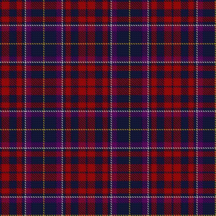 Tartan image: Telfer, Brian William (Personal). Click on this image to see a more detailed version.