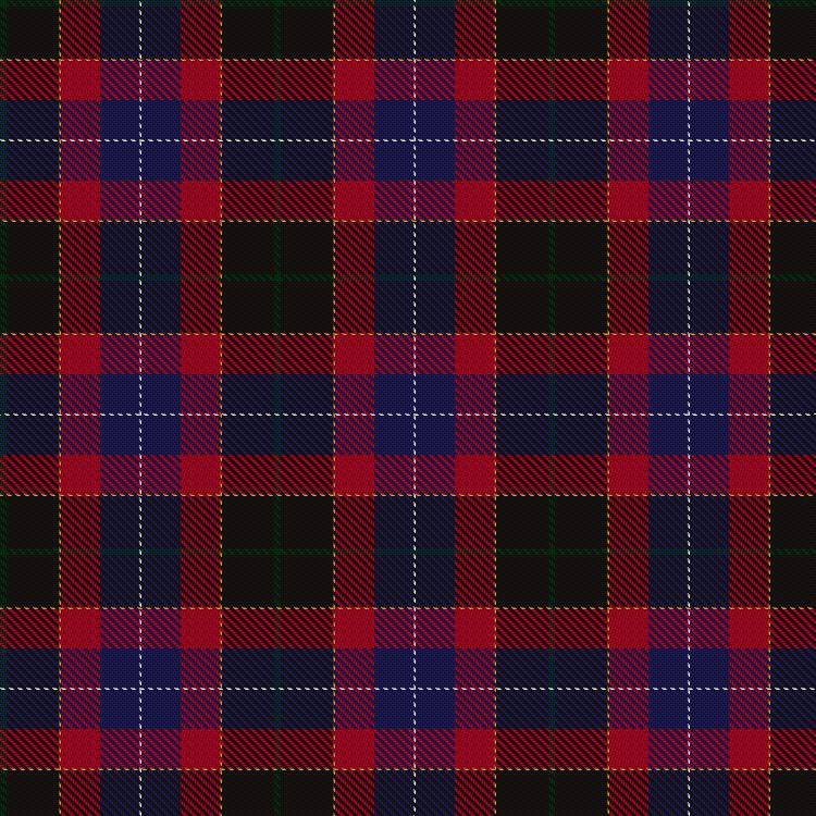 Tartan image: Hegarty, P & Family (Personal). Click on this image to see a more detailed version.