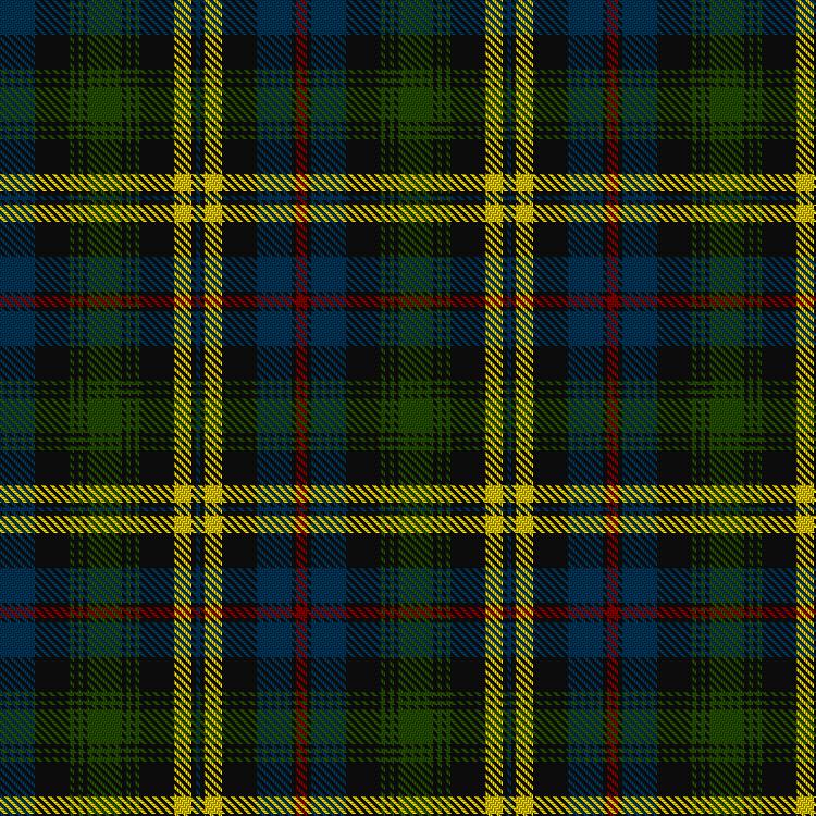 Tartan image: Lamquet (2015). Click on this image to see a more detailed version.