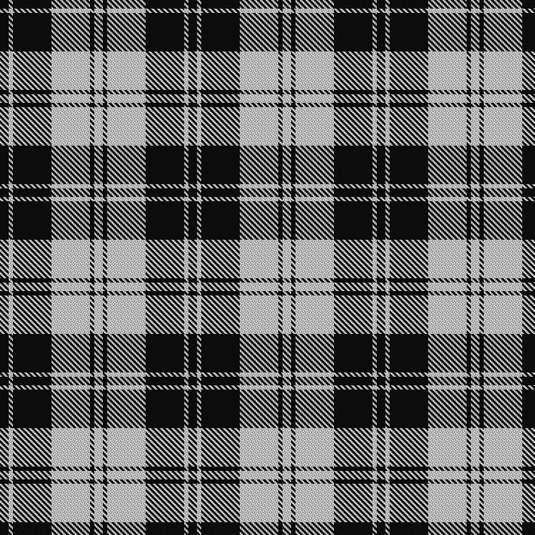 Tartan image: Erskine (Black and White). Click on this image to see a more detailed version.