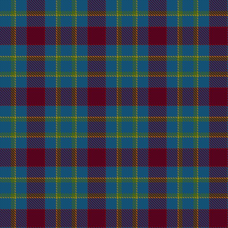 Tartan image: British Judo Association. Click on this image to see a more detailed version.