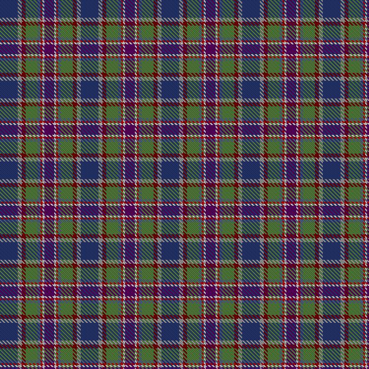 Tartan image: Serco Caledonian Sleeper. Click on this image to see a more detailed version.