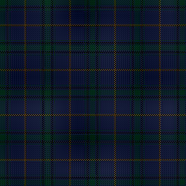 Tartan image: Tern House. Click on this image to see a more detailed version.